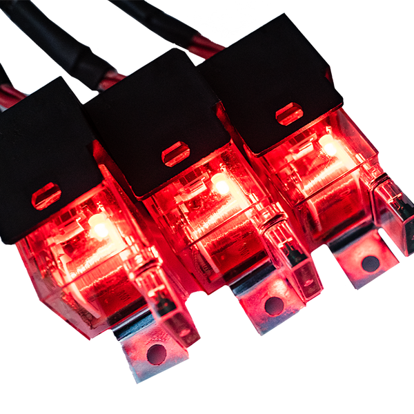 FuelTech LS550 V8 wiring harness has all needed connections for LS swap