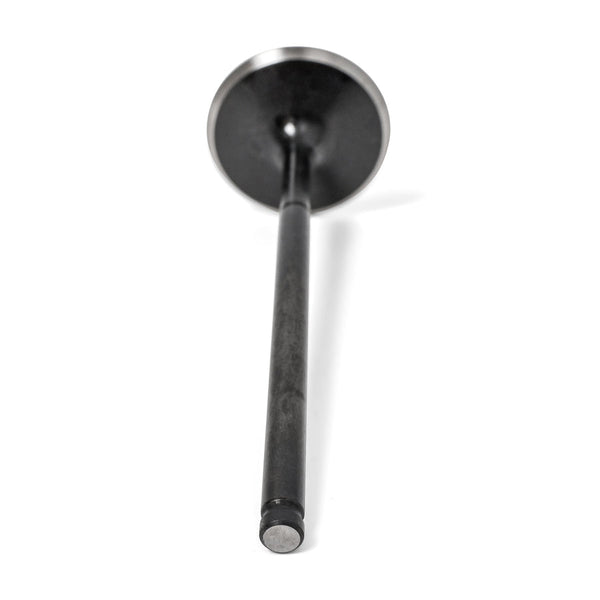 High Compression 36mm Intake Valves - Honda S2000 F20C/F22C - BLOWOUT - BLOX Racing