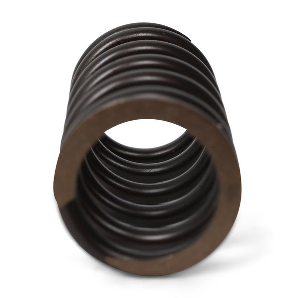 Valve Springs - F - Series DOHC VTEC - BLOX Racing