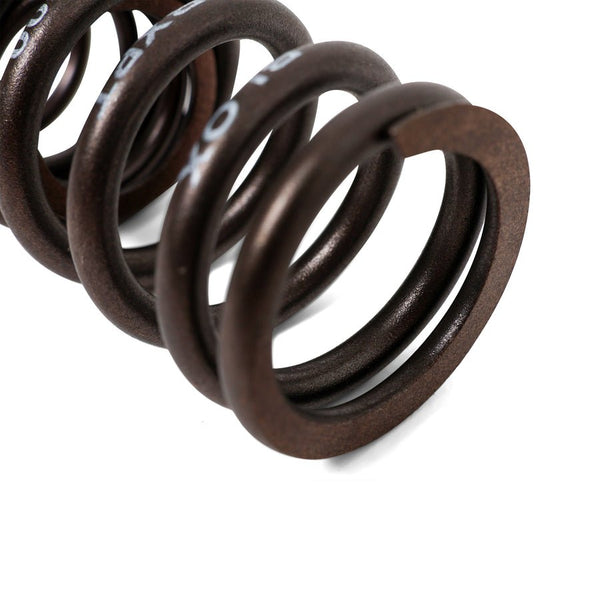 Valve Springs - H - Series DOHC VTEC - BLOX Racing