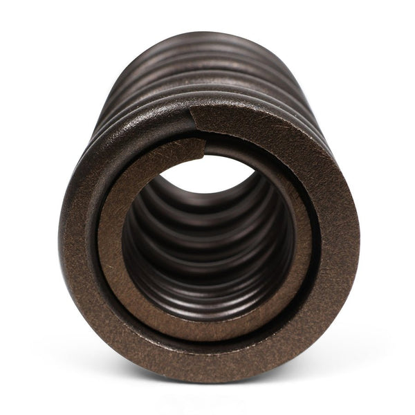 Valve Springs - K - Series DOHC iVTEC - BLOX Racing